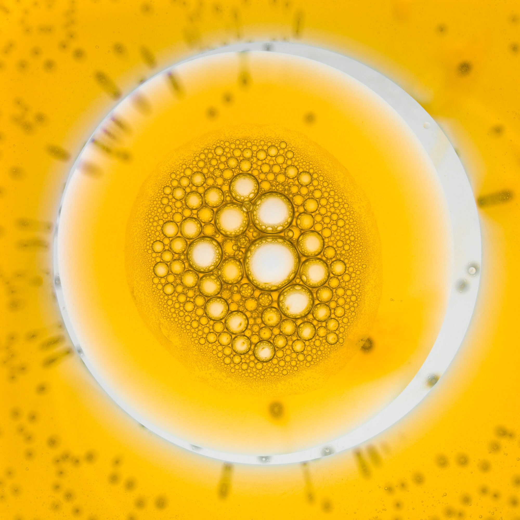 bild saknar alt attribut