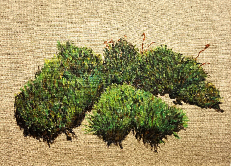 bild saknar alt attribut