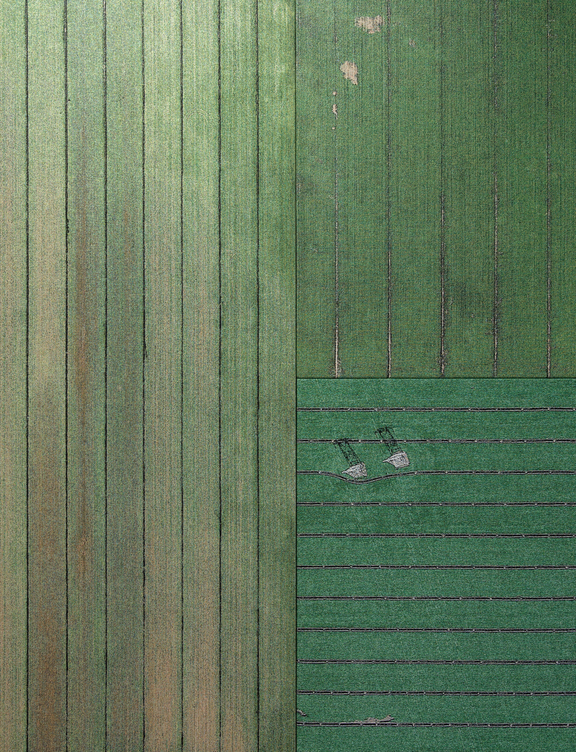 bild saknar alt attribut