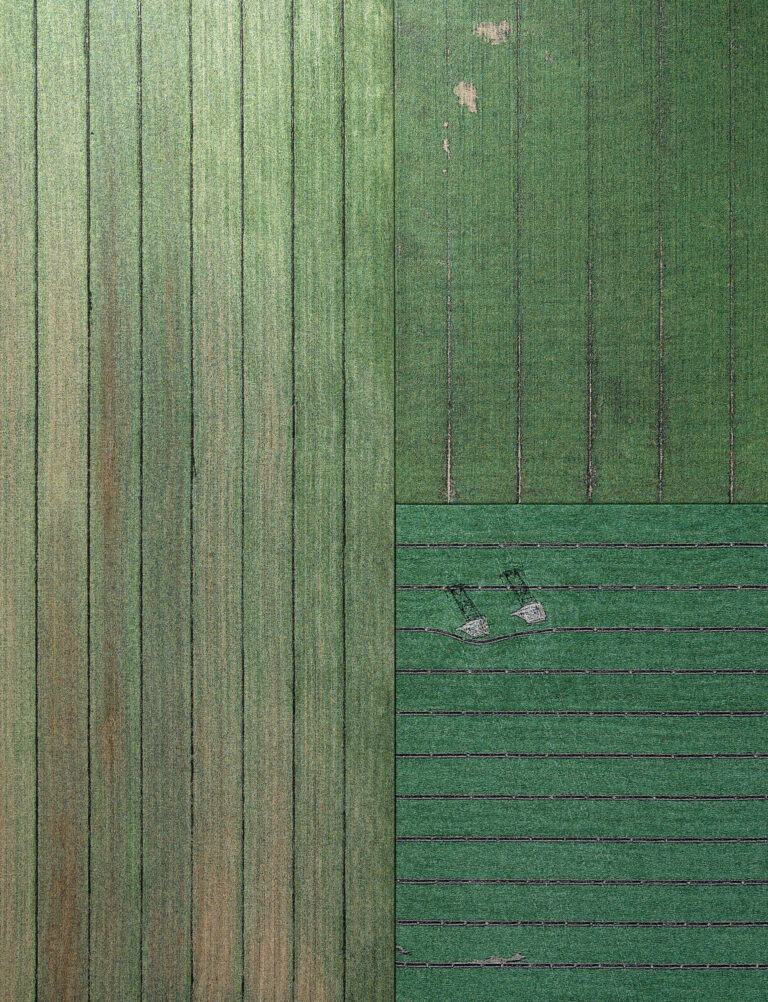 bild saknar alt attribut