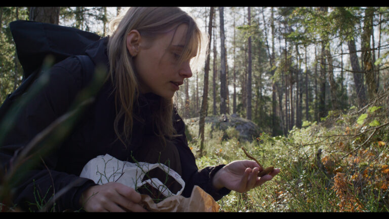 bild saknar alt attribut