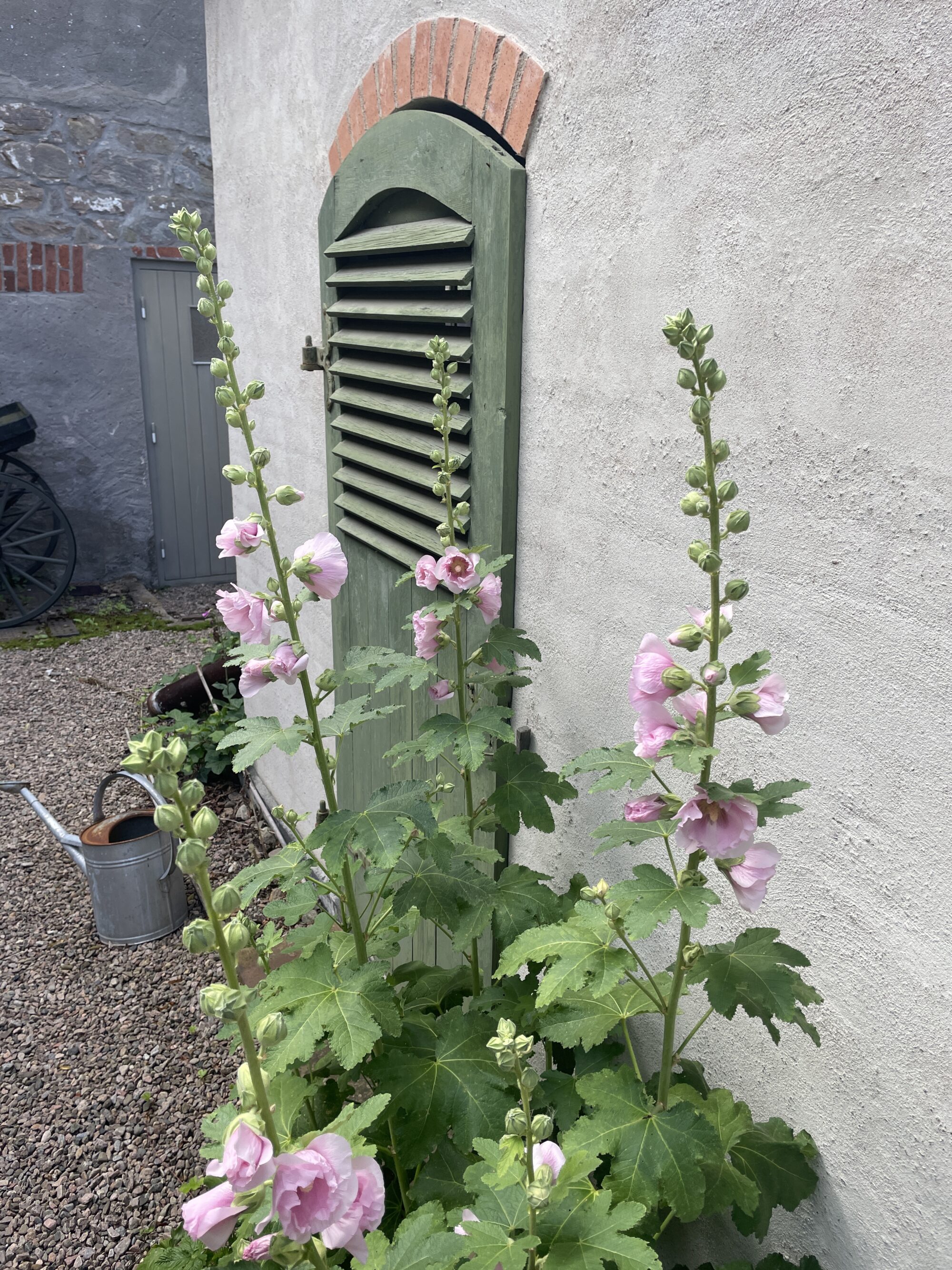 bild saknar alt attribut