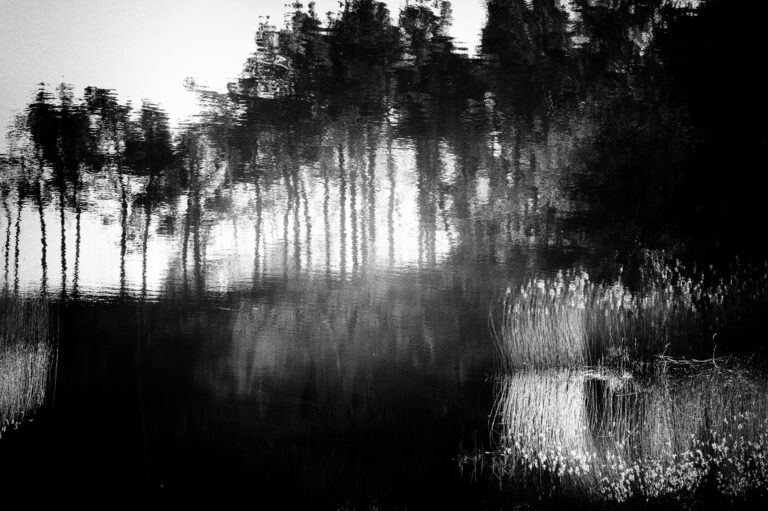 bild saknar alt attribut