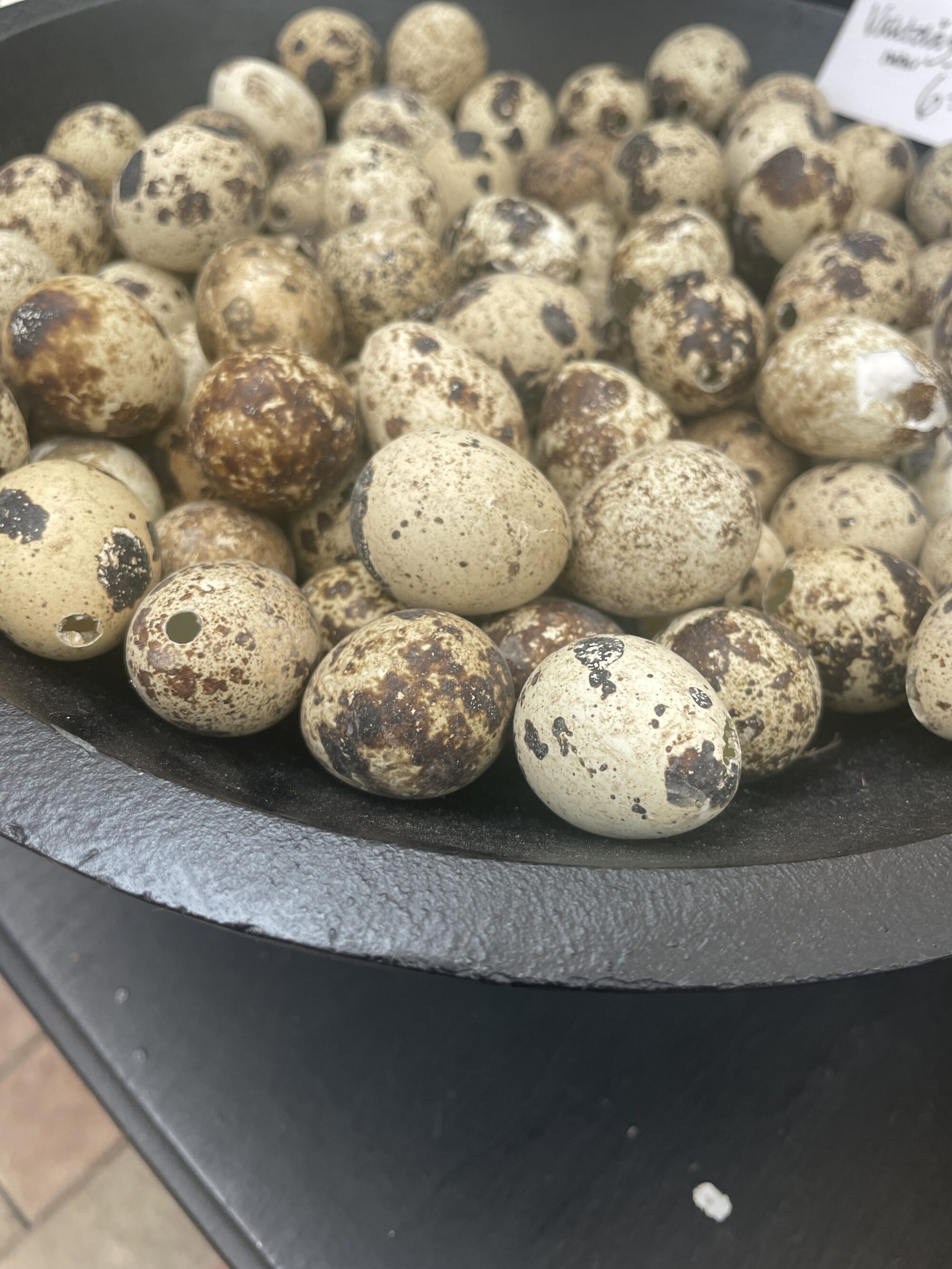 bild saknar alt attribut